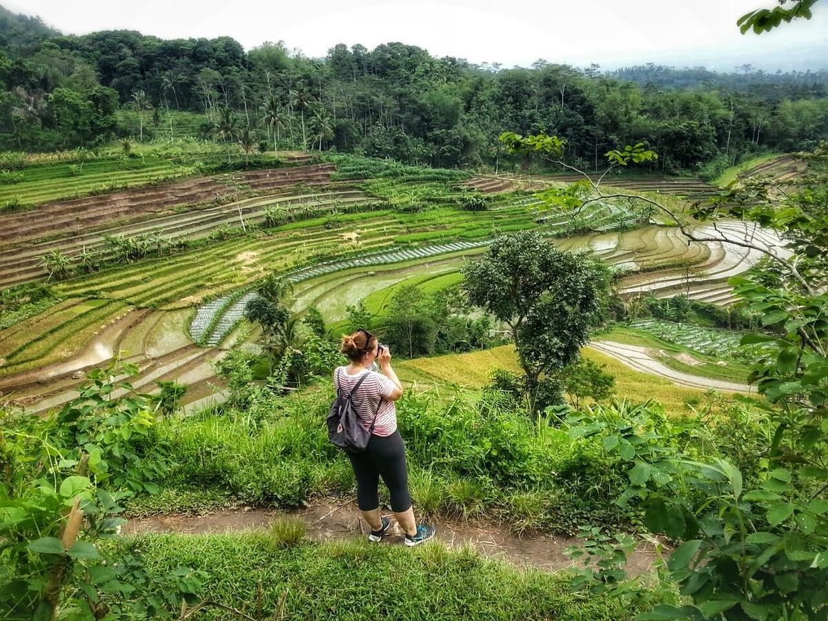 Janur Bungalow Magelang Buitenkant foto