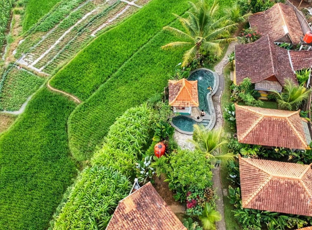 Janur Bungalow Magelang Buitenkant foto